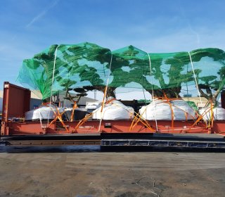 TRINCAJES-DE-TODO-TIPO-DE-CARGAS-(CERTIFIED-PROVIDER) (8)