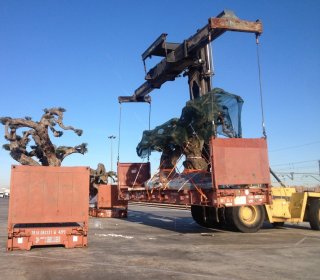 CARGAS-ESPECIALES-Y-TRÁFICO-DE-GRANDES-VOLÚMENES (8)